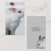 Carte de visite de lapin blanc (Devant / Derrière)