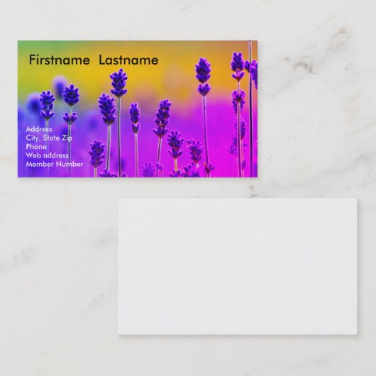 Carte de visite de lavande (Devant / Derrière)