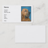 Carte de visite de limier (Devant / Derrière)