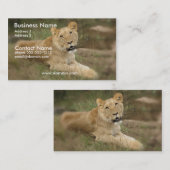 Carte de visite de lionne (Devant / Derrière)