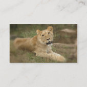 Carte de visite de lionne (Dos)
