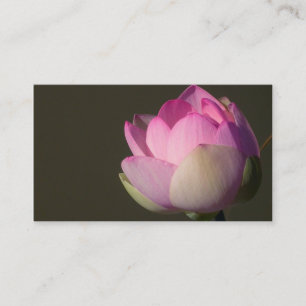 Carte de visite de Lotus rose