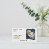 Carte de visite de loutre de mer (Debout devant)