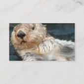 Carte de visite de loutre de mer (Dos)