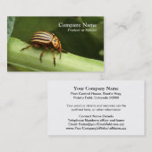 Carte de visite de lutte contre les parasites (Devant / Derrière)