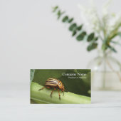 Carte de visite de lutte contre les parasites (Debout devant)