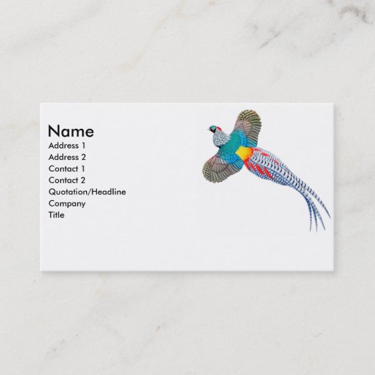 Carte de visite de Madame Amherst Pheasant (Devant)