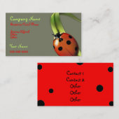 Carte de visite de Madame Bug (Devant / Derrière)