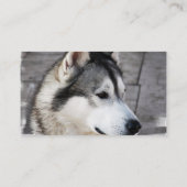 Carte de visite de Malamute (Dos)