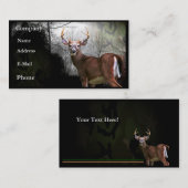 Carte de visite de mâle de cerfs communs (Devant / Derrière)