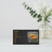 Carte de visite de marais (Debout devant)