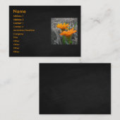 Carte de visite de marais (Devant / Derrière)