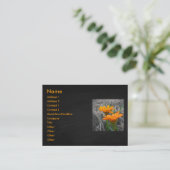 Carte de visite de marais (Debout devant)