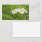 Carte de visite de marguerite (Devant / Derrière)