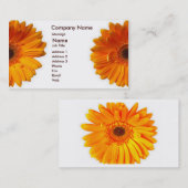 Carte de visite de marguerite de Gerber (Devant / Derrière)