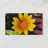 Carte de visite de marguerite jaune (Dos)