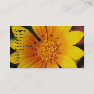 Carte de visite de marguerite jaune