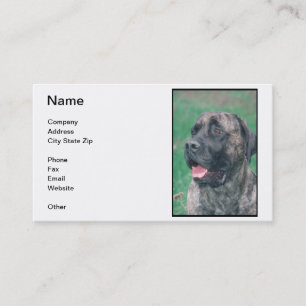 Carte de visite de mastiff