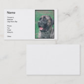 Carte de visite de mastiff (Devant / Derrière)