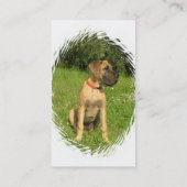 Carte de visite de mastiff (Dos)