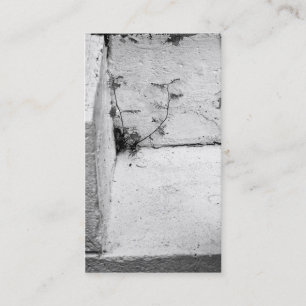 Carte de visite de mauvaises herbes sur les marche