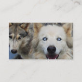 Carte de visite de meute de loups (Dos)