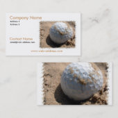 Carte de visite de mine de sable (Devant / Derrière)