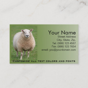 Carte de visite de moutons