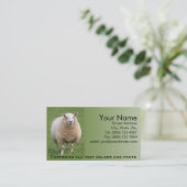 Carte de visite de moutons (Debout devant)