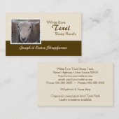 Carte de visite de moutons de Texel (Devant / Derrière)