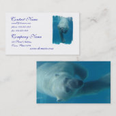 Carte de visite de natation d'ours blanc (Devant / Derrière)