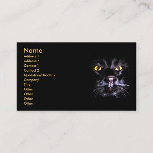 Carte de visite de observation de MERLIN (Devant)