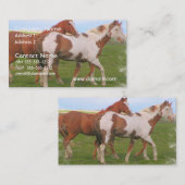 Carte de visite de paires de cheval (Devant / Derrière)