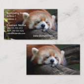 Carte de visite de panda rouge de sommeil (Devant / Derrière)