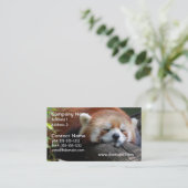 Carte de visite de panda rouge de sommeil (Debout devant)