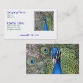 Carte de visite de paon (Devant / Derrière)