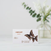 Carte de visite de papillon (Debout devant)
