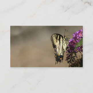 Carte de visite de papillon