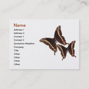 Carte de visite de papillon