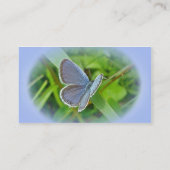 Carte de visite de papillon bleu à queue orientale (Dos)