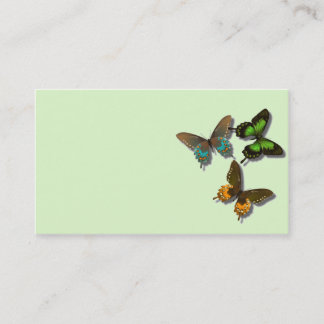 Carte de visite de papillons