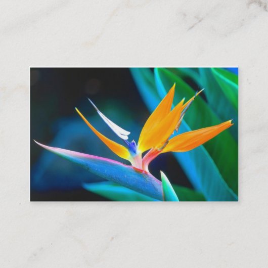 carte de visite de paradis (Dos)