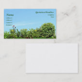 Carte de visite de paysage (Devant / Derrière)