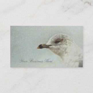 Carte de visite de peinture de mouette