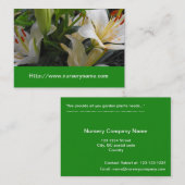 carte de visite de pépinière blanche (Devant / Derrière)