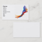Carte de visite de perroquet d'ara de vol (Devant / Derrière)