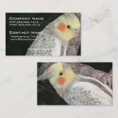Carte de visite de perroquet de gris africain (Devant / Derrière)