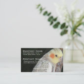 Carte de visite de perroquet de gris africain (Debout devant)