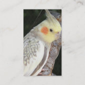 Carte de visite de perroquet de gris africain (Dos)