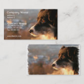 Carte de visite de photo de border collie (Devant / Derrière)